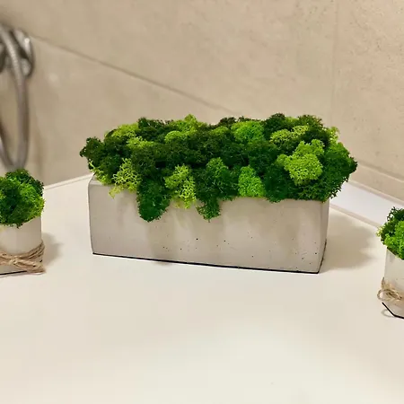 Osapart At The Complex Great Britain * Lemberg