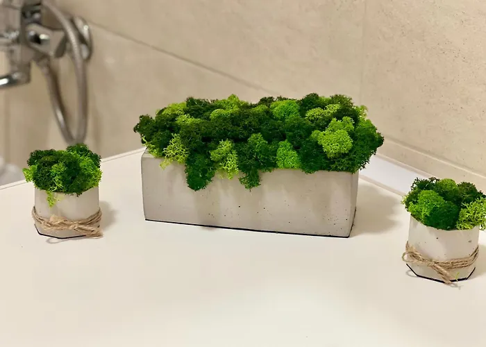 Osapart At The Complex Great Britain * Lviv